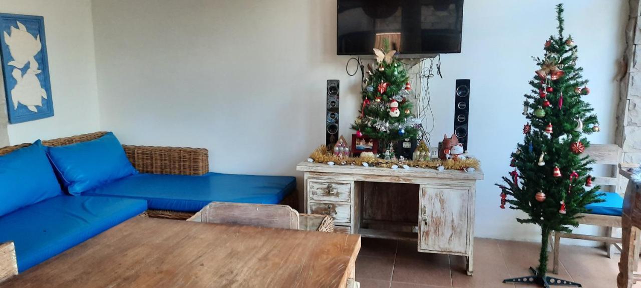 Turtle Island Homestay Sanur Zewnętrze zdjęcie