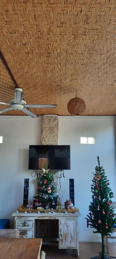 Turtle Island Homestay Sanur Zewnętrze zdjęcie