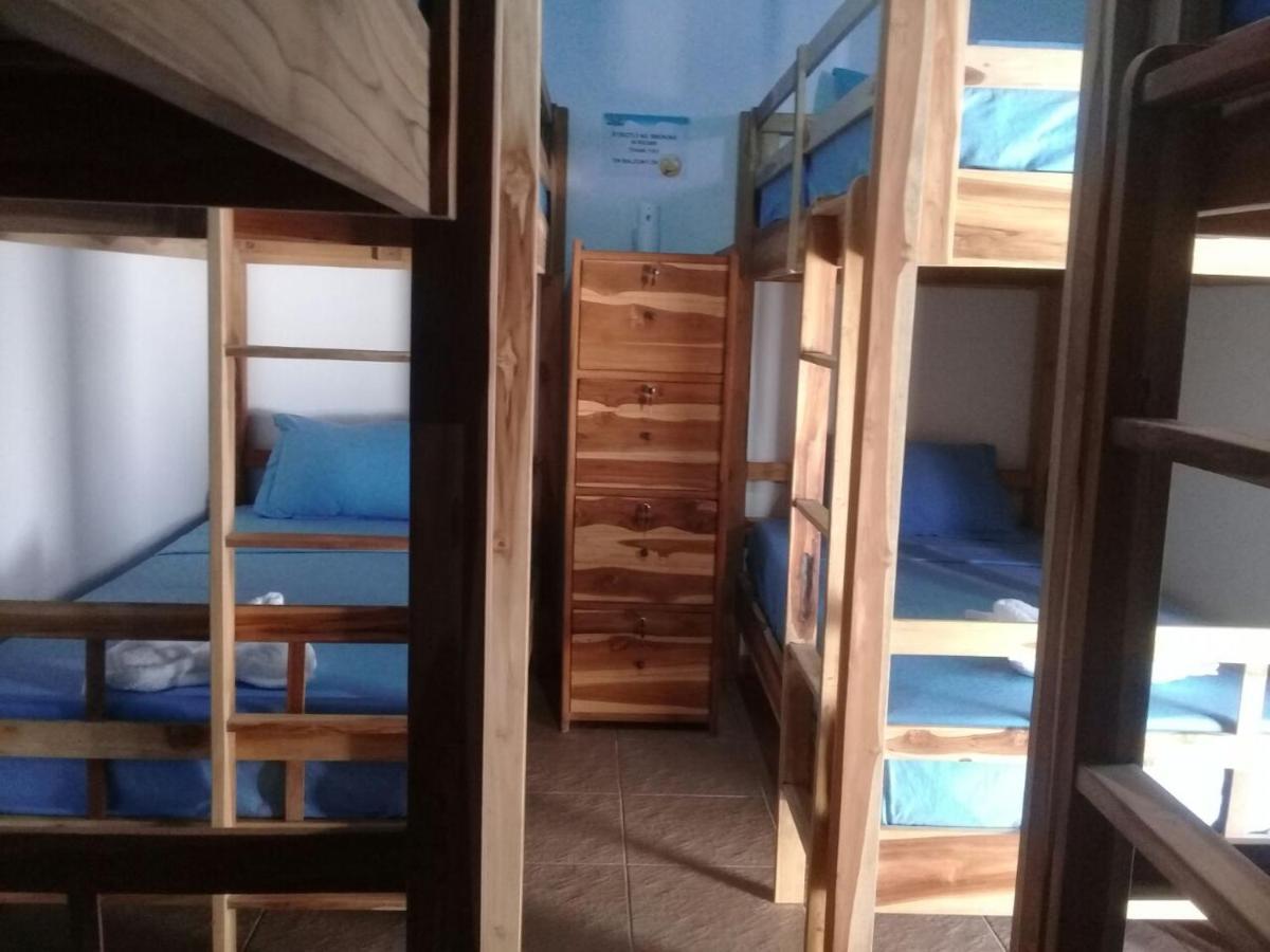 Turtle Island Homestay Sanur Zewnętrze zdjęcie
